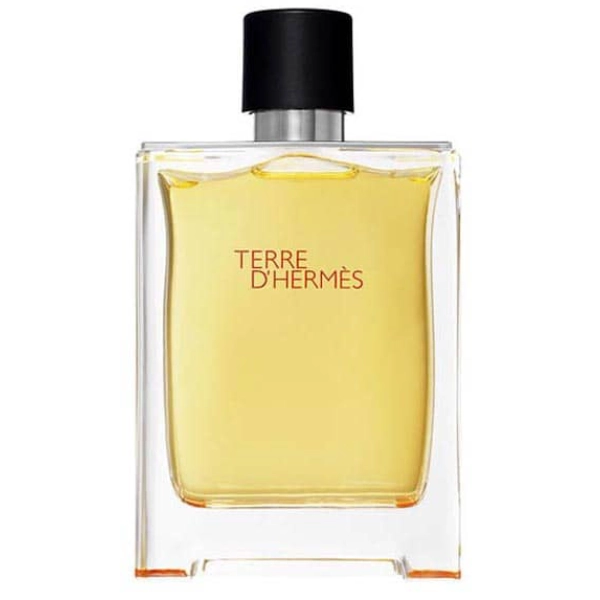 پرفیوم هرمس تق هرمس مردانه تند و تلخ - Hermes Terre dHermes درجه 1 (پس کرایه)