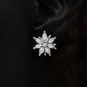 گوشواره زنانه مینیمال در طرح های متنوع گل و پروانه و اشک نگین کاری شده رنگ کاملا ثابت کد ztj (پس کرایه)