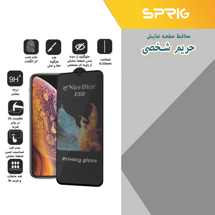 محافظ صفحه نمایش حریم شخصی اسپریگ مدل PRV_NICED مناسب برای گوشی موبایل سامسونگ Galaxy F04 4G / A04e / A12 بسته دو عددی