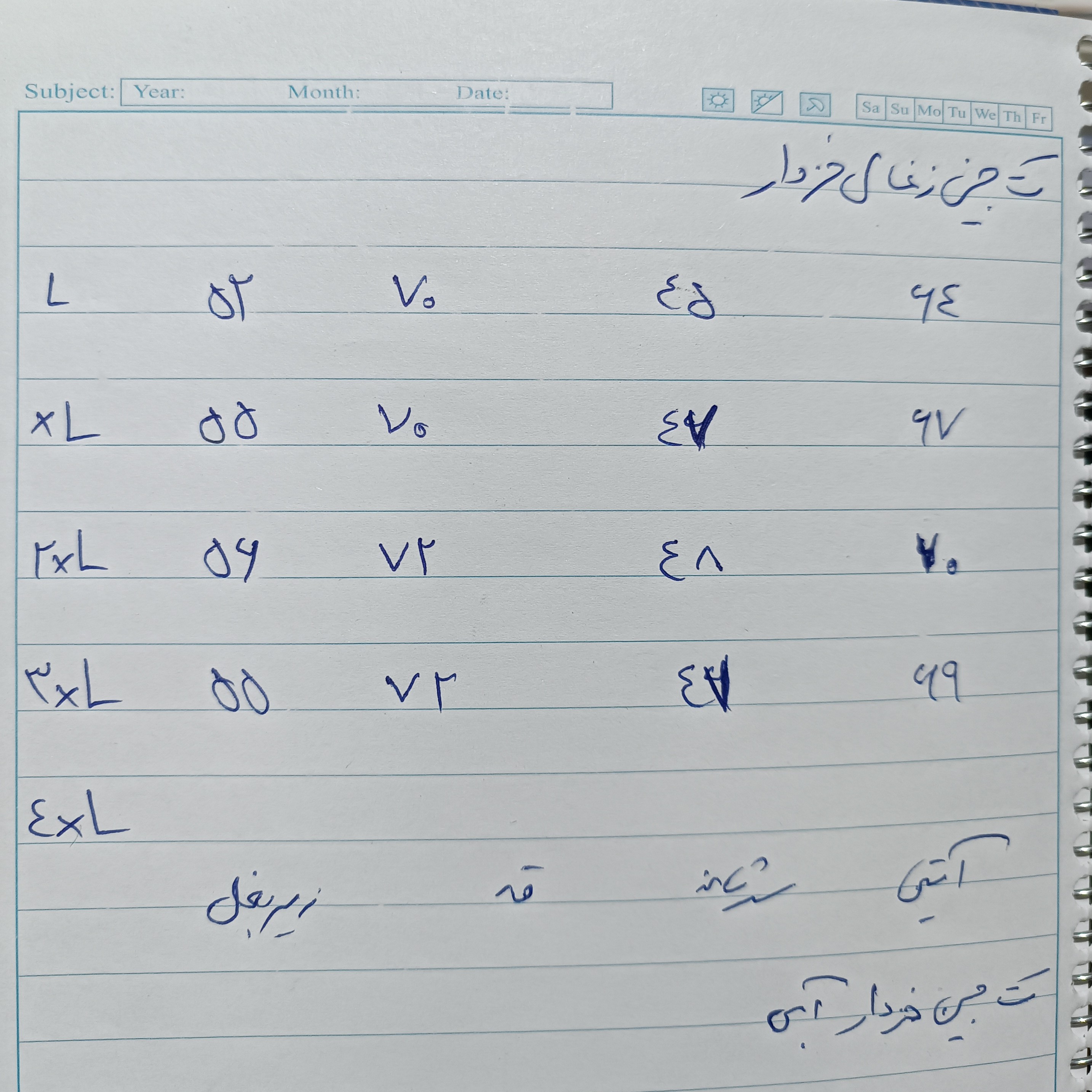 کت لی خزدار مردانه تمام کش