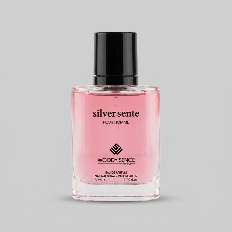 عطر جیبی مردانه وودی سنس مدل Silver Scent حجم 30 میلی لیتر