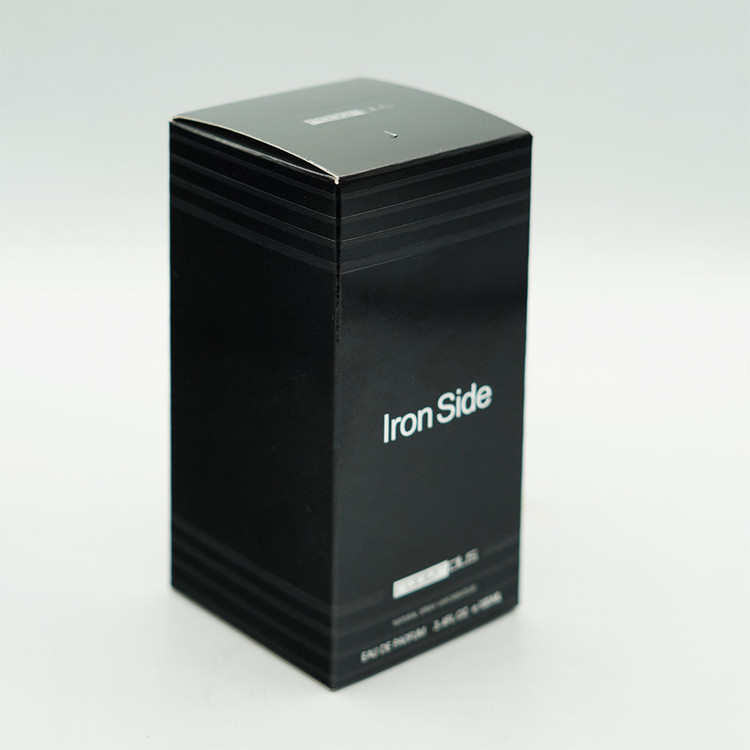 ادو پرفیوم مردانه رودیر پلاس مدل Iron Side حجم 100 میلی لیتر