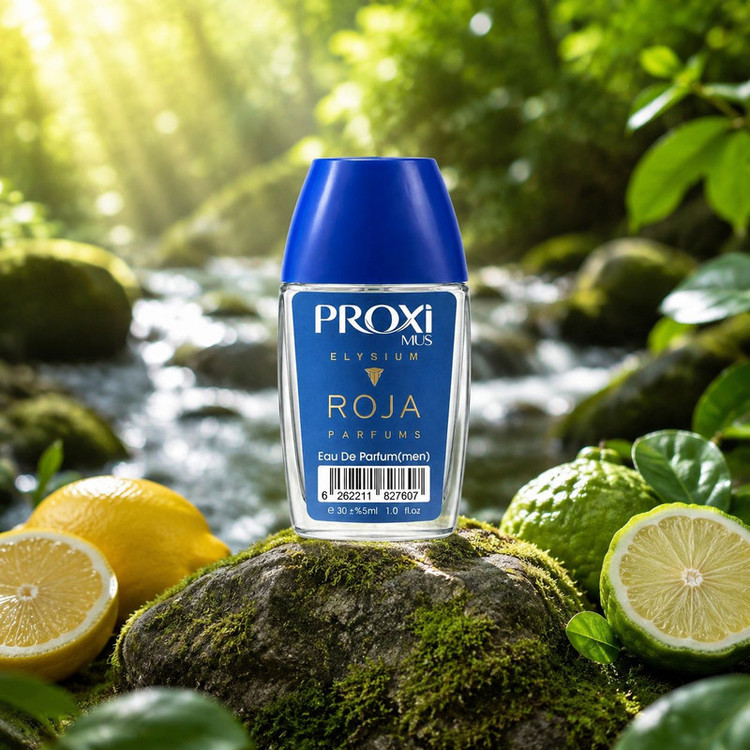 عطر جیبی مردانه پروکسی مدل Roja با رایحه شیرین و مرکباتی حجم 30 میلیلیتر