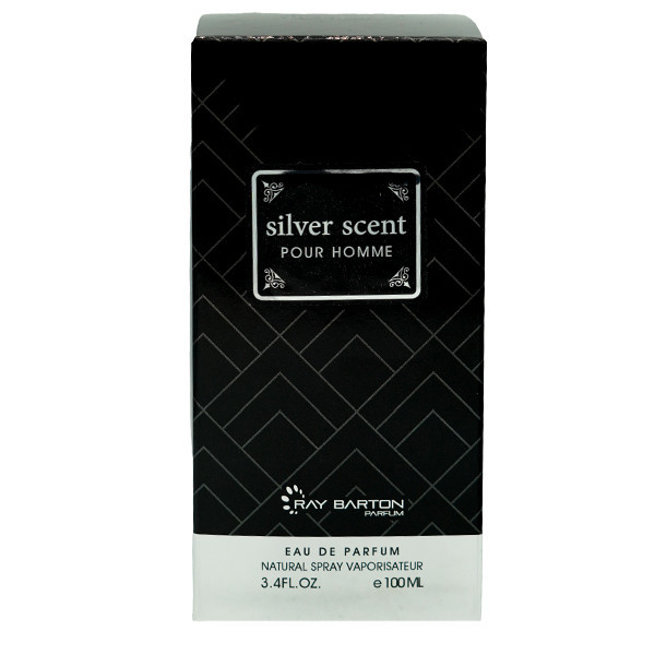 ادوپرفیوم مردانه ری بارتون مدل SILVER SCENT حجم 100 میلی لیتر