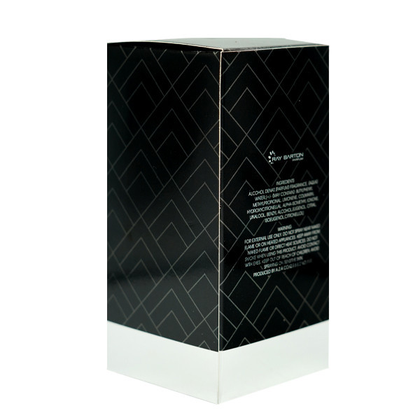 ادوپرفیوم مردانه ری بارتون مدل SILVER SCENT حجم 100 میلی لیتر