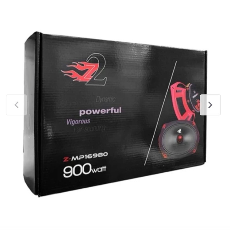 میدرنج بیضی زد تو 6x9 اینچ مدل Z2 16980