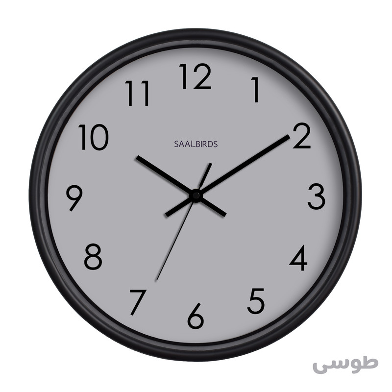 ساعت دیواری سال بردز مدل CW-160