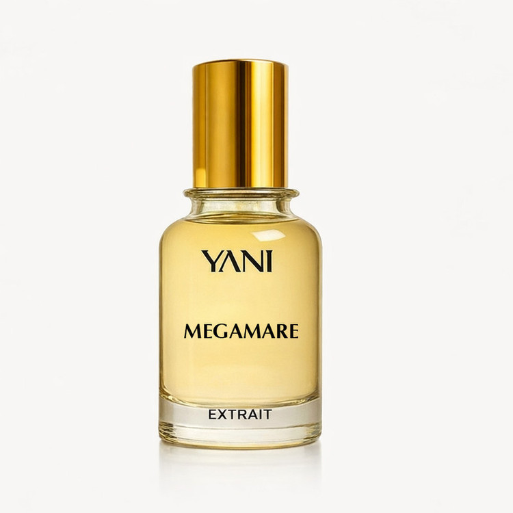 عطر مگاماره با رایحه معتدل حجم 50 میلی لیتر از برند عطریانی